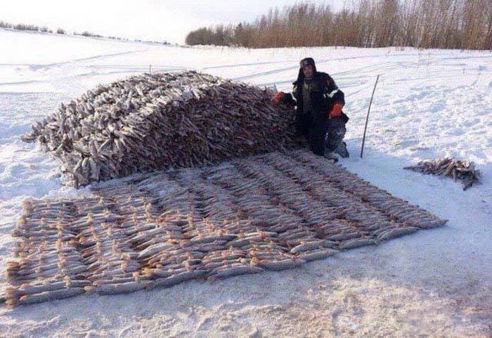 Russians Must Be Born Crazy (37 pics)