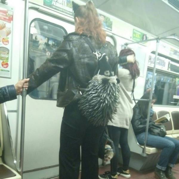 Brave Souls Who Wore Outrageous Outfits In Public (42 pics)