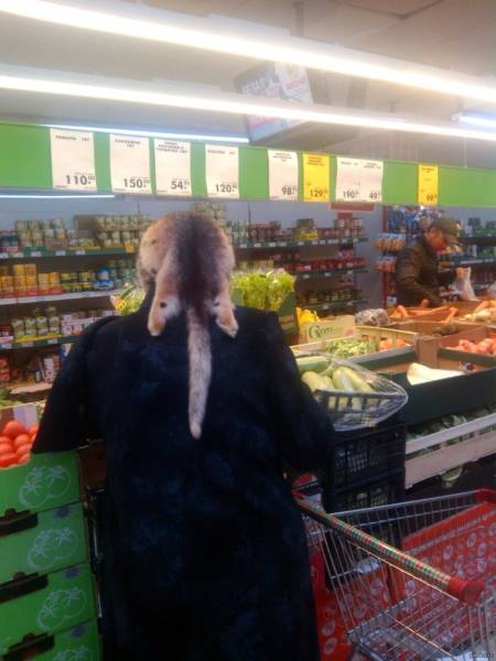 Brave Souls Who Wore Outrageous Outfits In Public (42 pics)