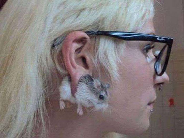 People Who Took Their Hipster Tendencies Way Too Far (40 pics)