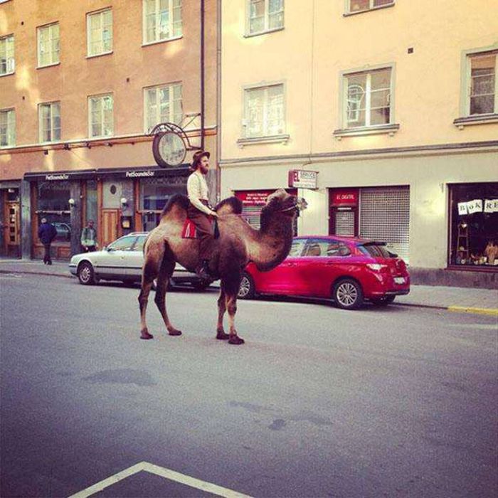 People Who Took Their Hipster Tendencies Way Too Far (40 pics)