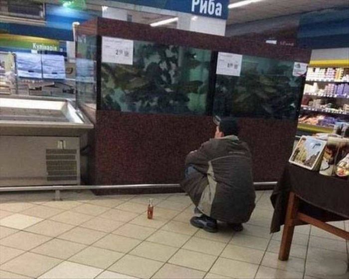 Pictures That Will Make You Wonder What The Hell Is Going On (52 pics)