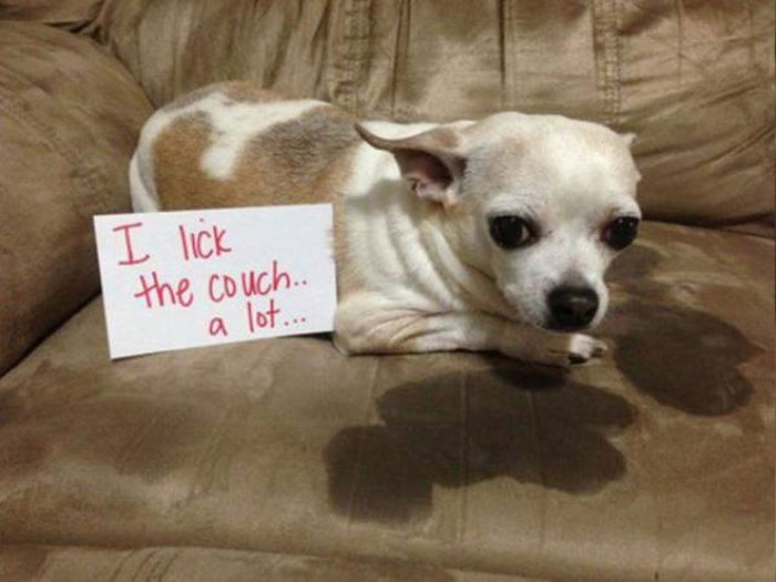 Acid Picdump (112 pics)