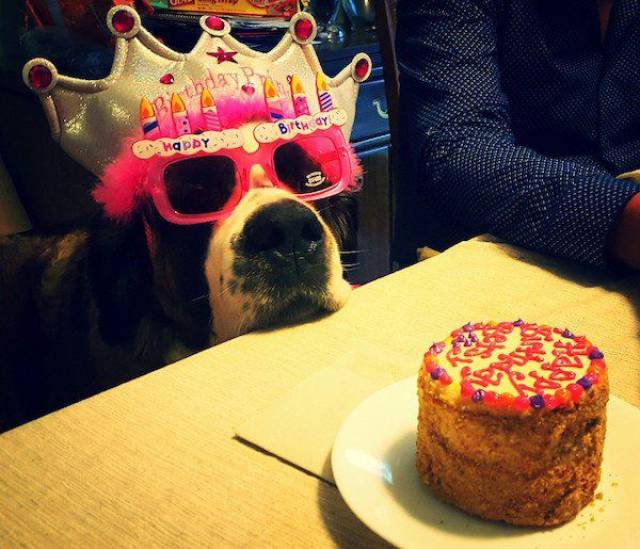Acid Picdump (112 pics)