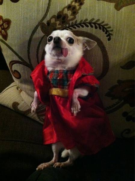 Acid Picdump (112 pics)
