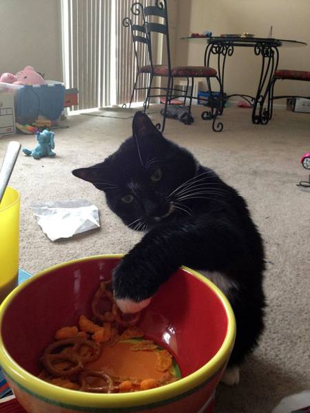 Acid Picdump (112 pics)