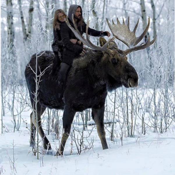 Acid Picdump (112 pics)