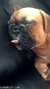 Acid Gifdump, February 10, 2017 (25 gifs)
