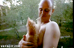 Acid Gifdump, February 10, 2017 (25 gifs)