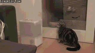 Acid Gifdump, February 10, 2017 (25 gifs)