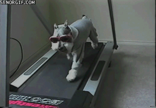 Acid Gifdump, February 10, 2017 (25 gifs)