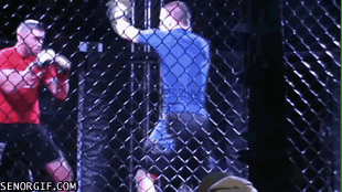 Acid Gifdump, February 10, 2017 (25 gifs)