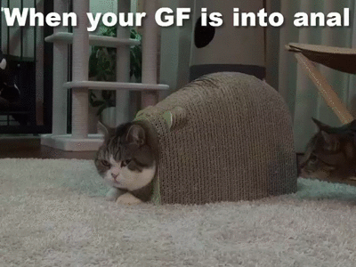 Acid Gifdump, February 10, 2017 (25 gifs)
