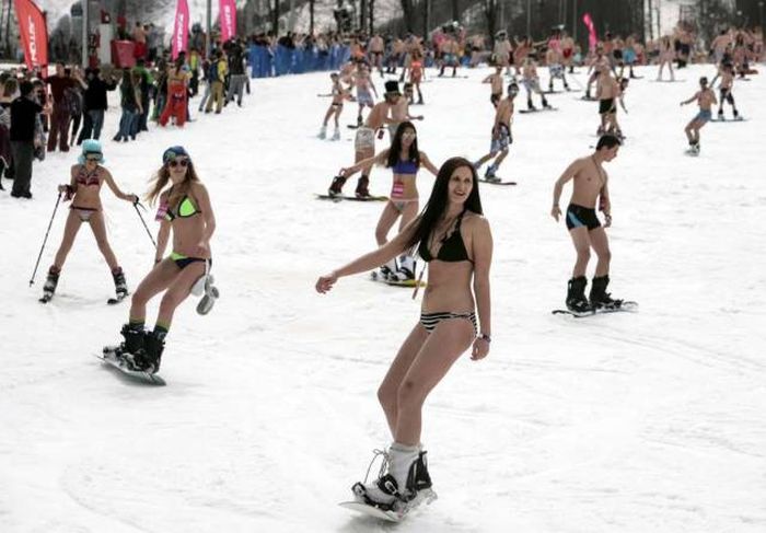 Acid Picdump (103 pics)