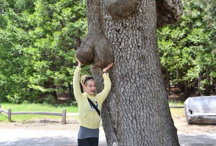 Acid Picdump (103 pics)