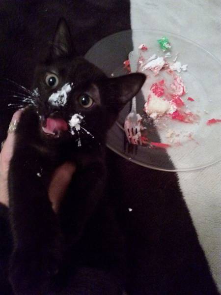 Acid Picdump (103 pics)