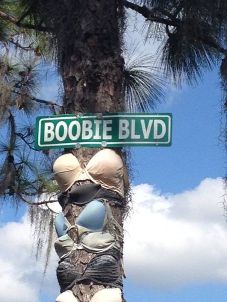 Acid Picdump (103 pics)