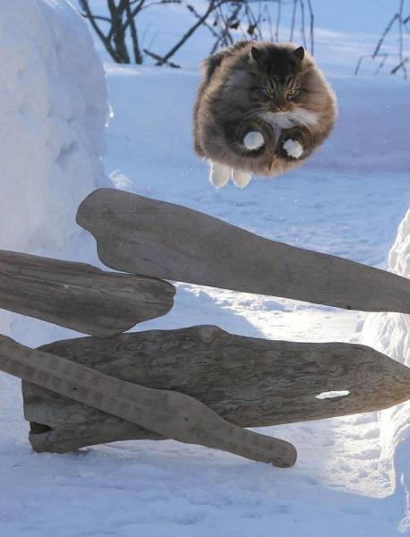 Acid Picdump (103 pics)