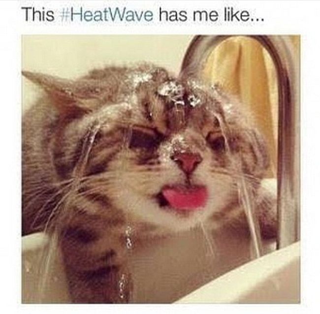 Australians Are Laughing Off The Pain As They Try To Survive A Heatwave (18 pics)