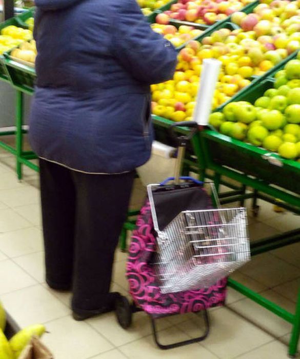 Proof That You Never Know What You Might Find When You Go Shopping (42 pics)