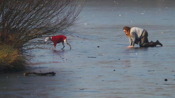 Brave Woman Rescues Dog Who Fell Through The Ice (8 pics)