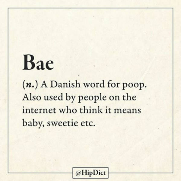 Finally There's A Dictionary That Actually Tells The Truth (59 pics)