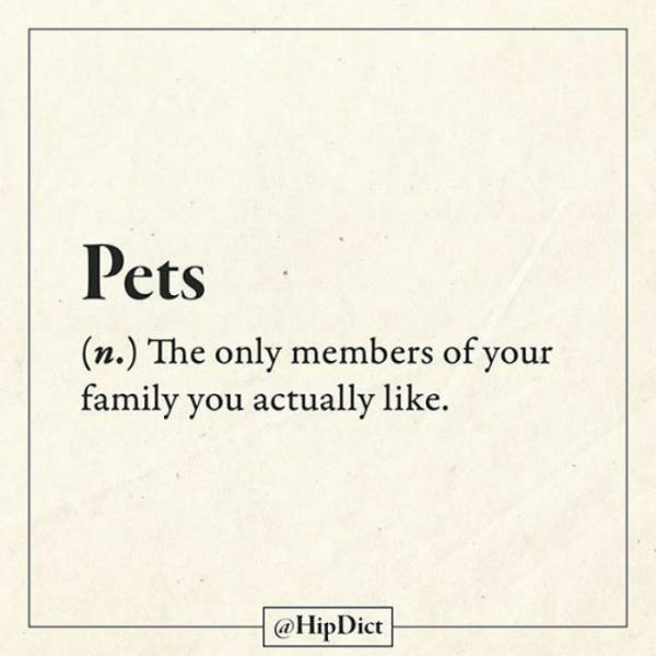 Finally There's A Dictionary That Actually Tells The Truth (59 pics)