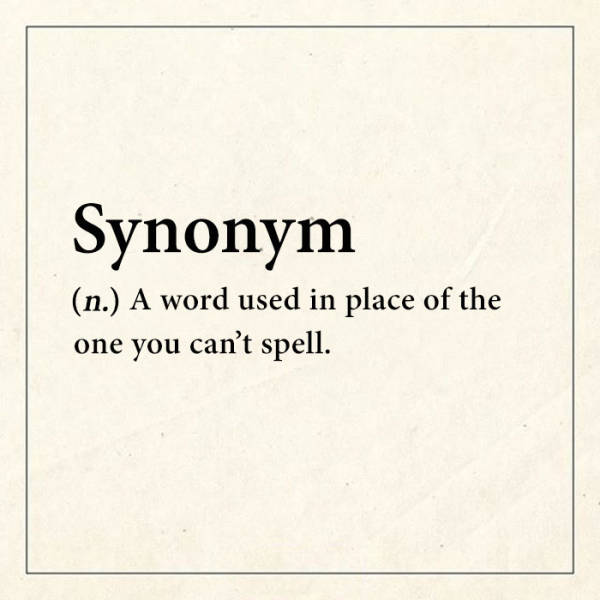 Finally There's A Dictionary That Actually Tells The Truth (59 pics)