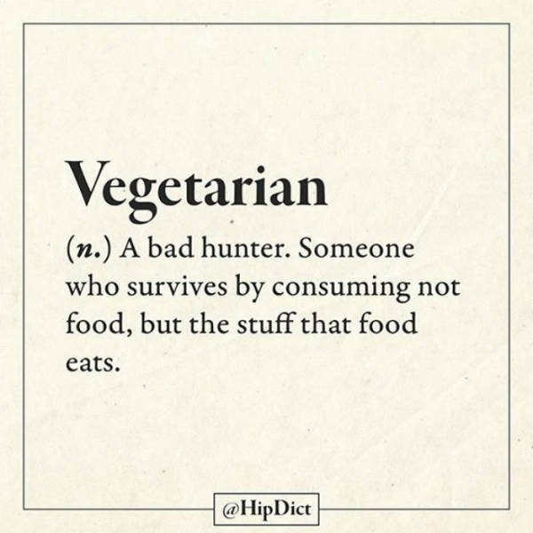 Finally There's A Dictionary That Actually Tells The Truth (59 pics)