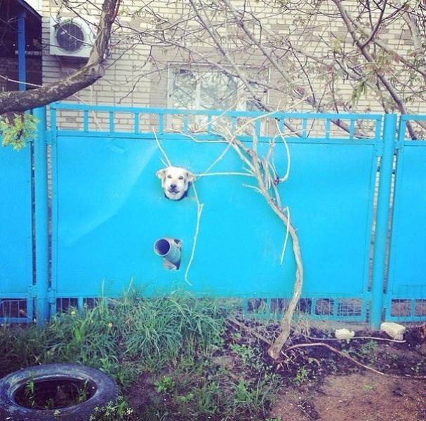 No One Will Ever Understand What Makes Russians Do This Stuff (37 pics)