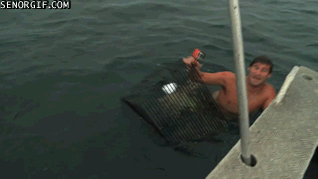 These GIFs Are Only For The Bravest Of The Brave (29 gifs)