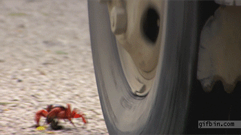 These GIFs Are Only For The Bravest Of The Brave (29 gifs)