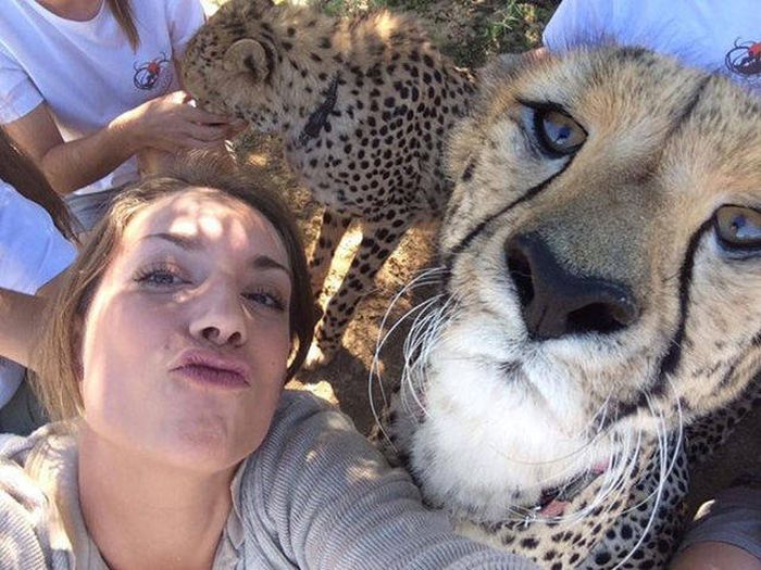 Exciting Pictures That Say Much More Than Just A Thousand Words (40 pics)
