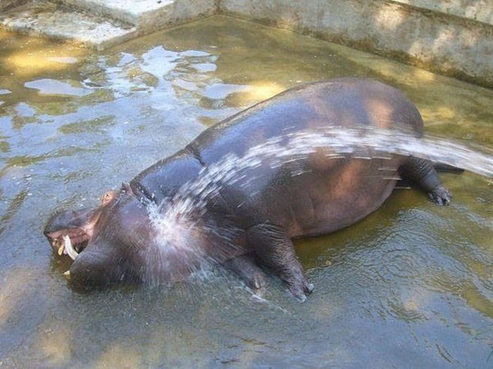 Exciting Pictures That Say Much More Than Just A Thousand Words (40 pics)