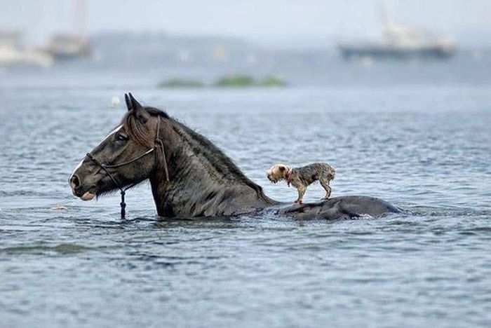 Exciting Pictures That Say Much More Than Just A Thousand Words (40 pics)