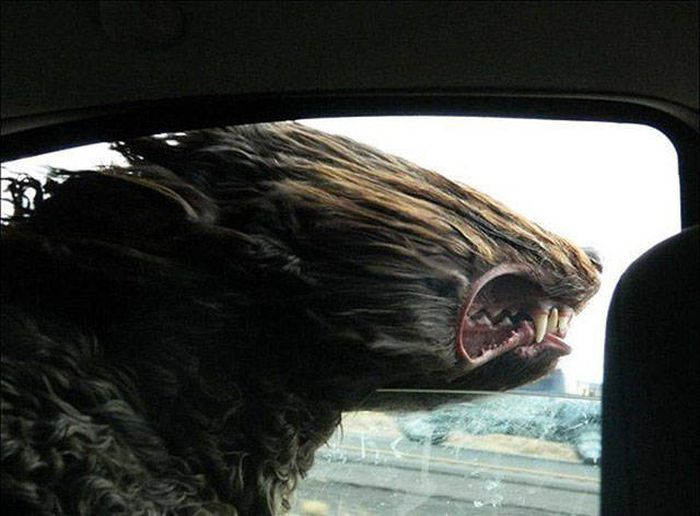 Exciting Pictures That Say Much More Than Just A Thousand Words (40 pics)