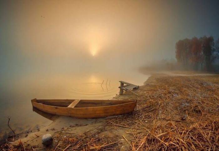 Exciting Pictures That Say Much More Than Just A Thousand Words (40 pics)