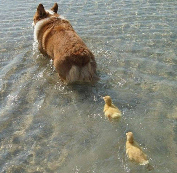 Exciting Pictures That Say Much More Than Just A Thousand Words (40 pics)