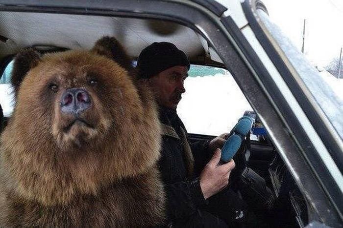 Exciting Pictures That Say Much More Than Just A Thousand Words (40 pics)