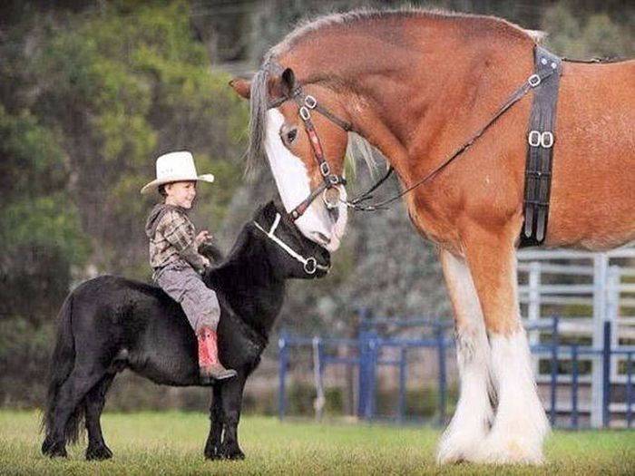 Exciting Pictures That Say Much More Than Just A Thousand Words (40 pics)