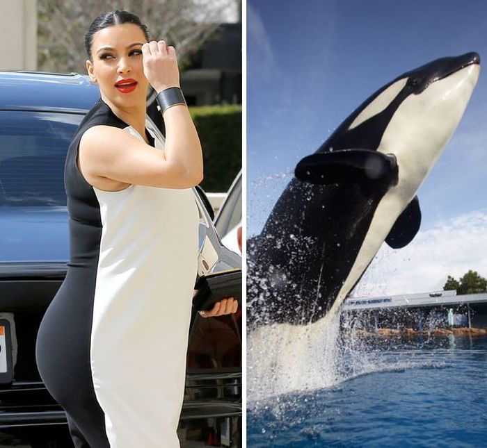 Everyone's Trying To Figure Out Who Wore It Better (24 pics)