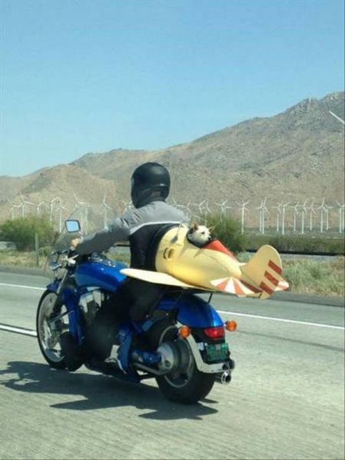 Acid Picdump (122 pics)