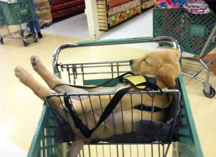 Acid Picdump (122 pics)