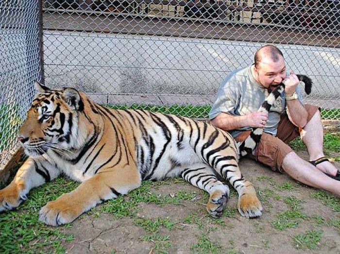 Acid Picdump (122 pics)