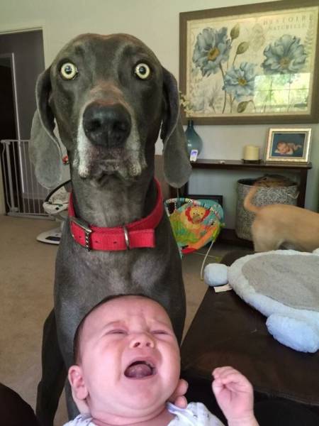 Acid Picdump (122 pics)