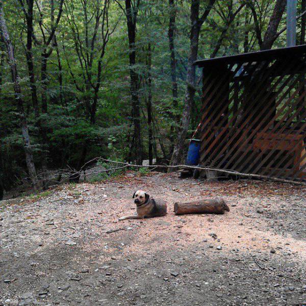 Acid Picdump (122 pics)