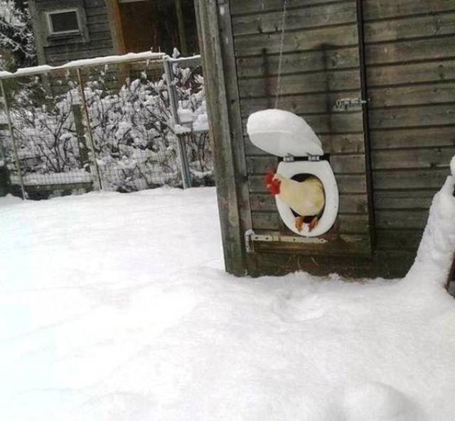 Acid Picdump (122 pics)