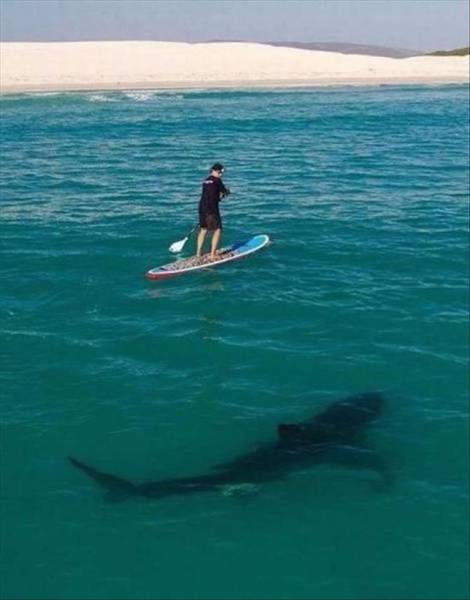 Acid Picdump (122 pics)