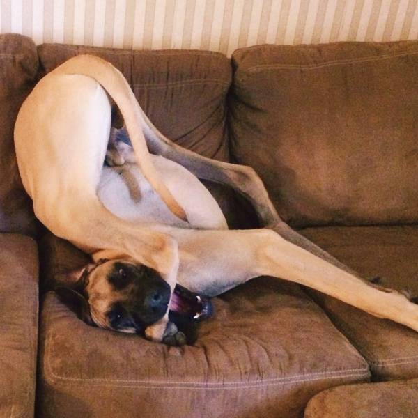 Acid Picdump (122 pics)