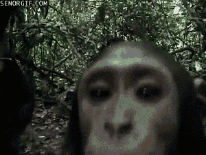 Acid Gifdump, February 15, 2017 (25 gifs)